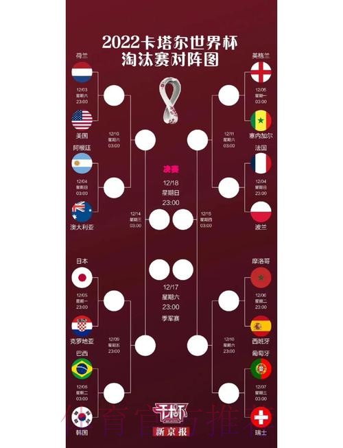世界杯强队排名哪里可以看
